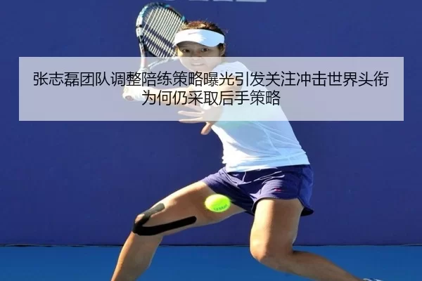张志磊团队调整陪练策略曝光引发关注冲击世界头衔为何仍采取后手策略